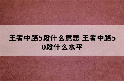 王者中路5段什么意思 王者中路50段什么水平